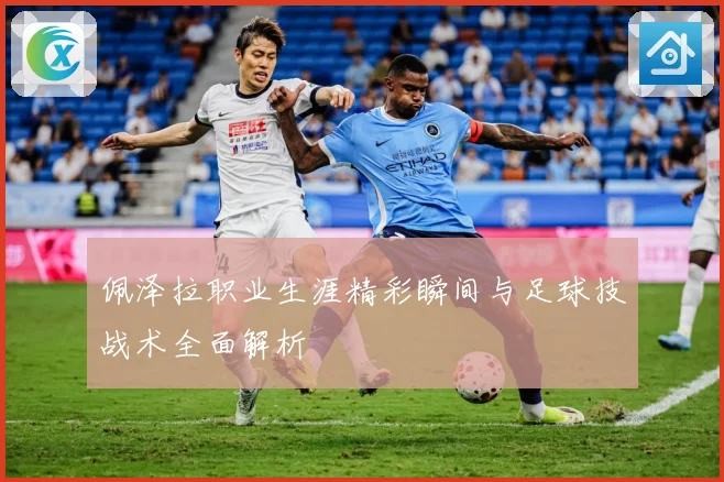 佩泽拉职业生涯精彩瞬间与足球技战术全面解析