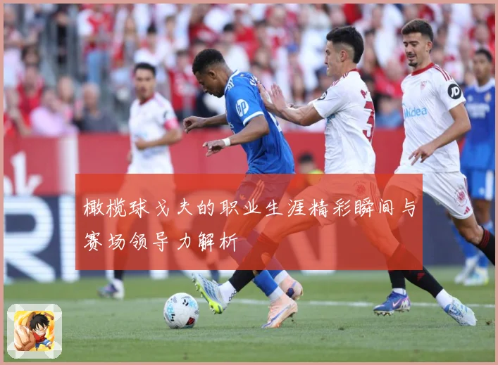 橄榄球戈夫的职业生涯精彩瞬间与赛场领导力解析