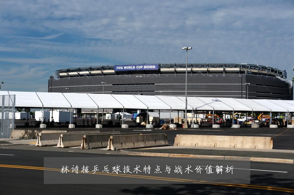 林诗栋乒乓球技术特点与战术价值解析